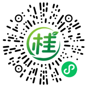 小程序